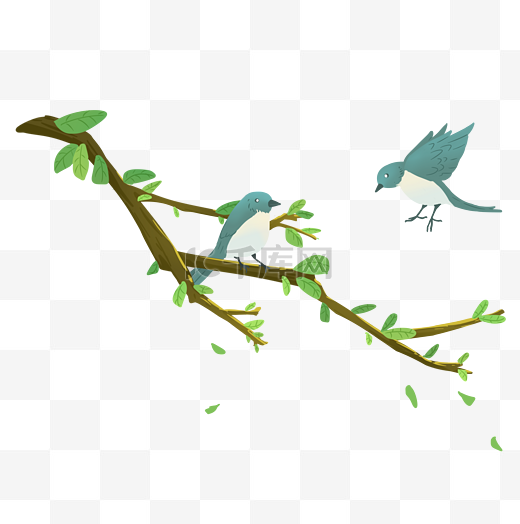 春天树枝上的小鸟图片