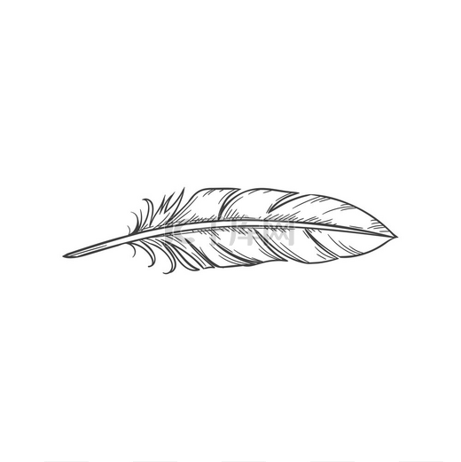 书写羽毛笔孤立的单色草图矢量笔古老的手写符号复古羽毛笔或羽毛笔隔离书写工具图片