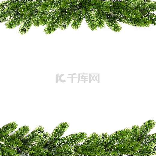 圣诞绿松枝矢量插图绿色松枝的圣诞背景矢量图片