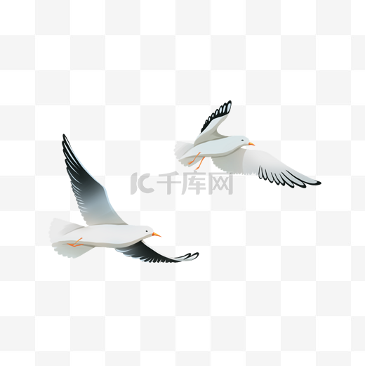 秋天动物白色候鸟南飞卡通手绘图片