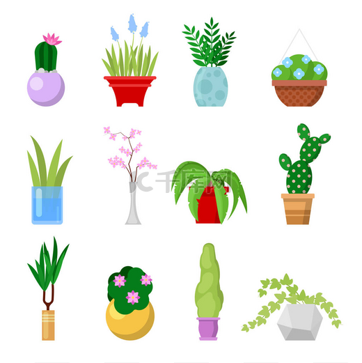 盆栽家居植物套。装饰室内盆栽植物和鲜花在花盆里。矢量图图片