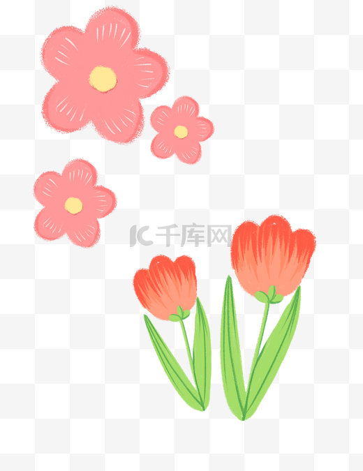 郁金香花朵春天手绘樱花图片