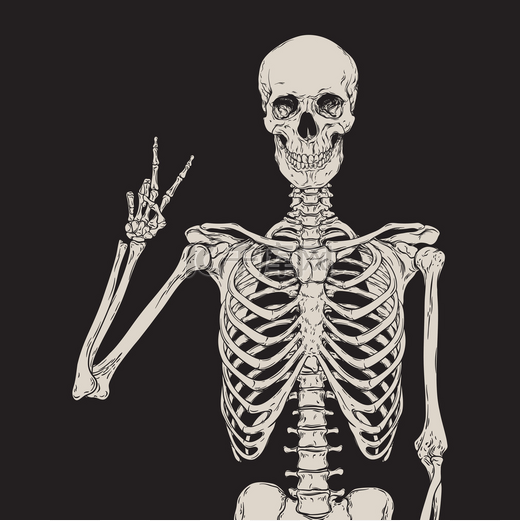 人类骨骼构成孤立在黑色背景矢量图片