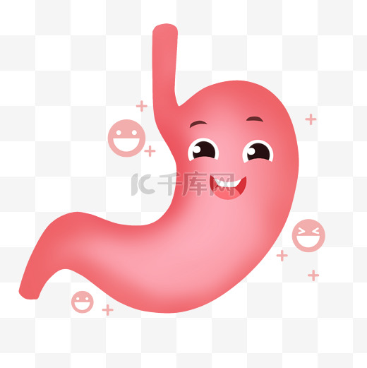 肠胃健康内脏胃图片
