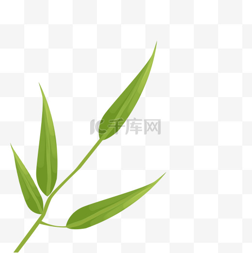 竹子树叶图片