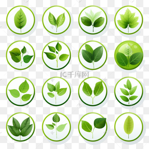 环保自然绿叶圆形标签图标图片