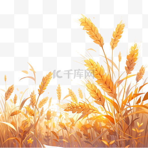 秋天丰收的麦穗卡通元素图片