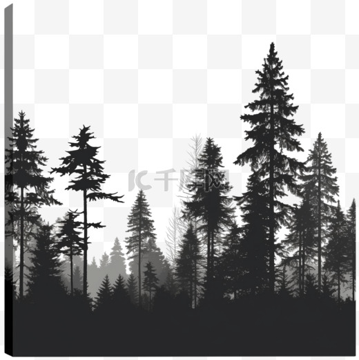 松林的剪影，白色上有高大的常青树图片