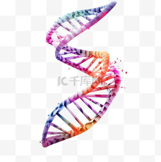DNA分子的科学插图。图片