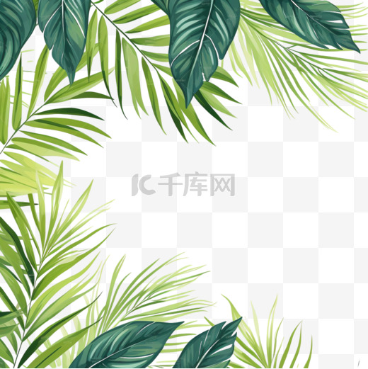 绘制的热带树叶背景图片
