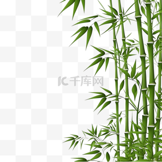 白色背景上隔离的带有复制空间的矢量绿色竹茎和竹叶图片