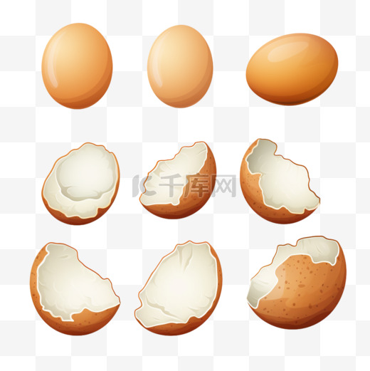 白色背景矢量插图上分离出的整排有裂缝的禽蛋和分离的鸡和鹌鹑的煎蛋图片