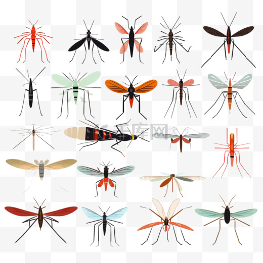 危险的蚊子。虫子和警告飞行动物蚊子援助卡通集。图片