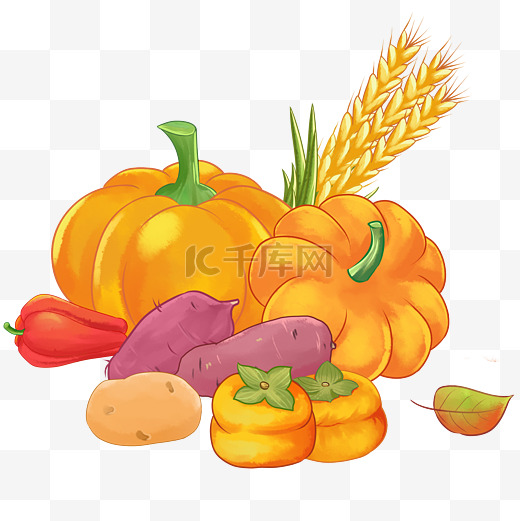 秋季农作物南瓜柿子番薯丰收立秋秋天图片