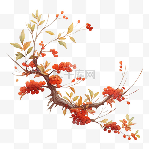 秋天元素手绘山楂树图片