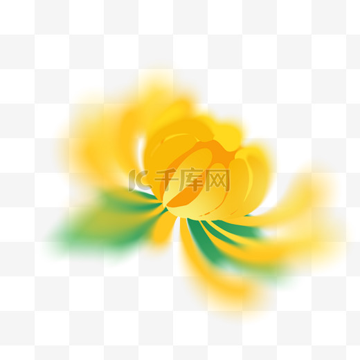 弥散风重阳节黄色菊花图片