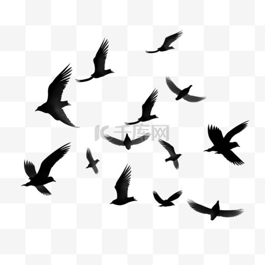 一群飞翔的鸟儿。飞鸟剪影、孤立的黑鸽或海鸥收藏2图片
