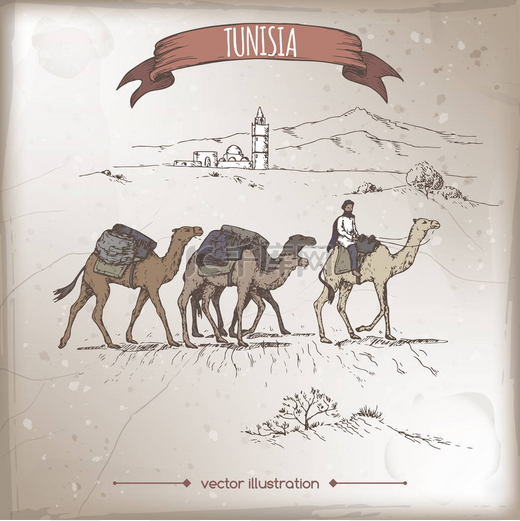Vintage travel illustration with desert, camels and old mosque, Tunisia.图片