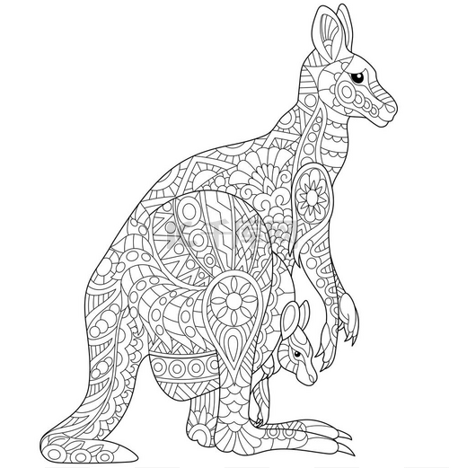 Zentangle 程式化的袋鼠图片