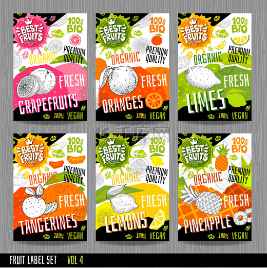 食品标签贴纸设置五颜六色的素描风格水果, 香料蔬菜包装设计。菠萝, 橘子, 柠檬, 橘子, 酸橙, 葡萄柚。手绘的向量例证.图片