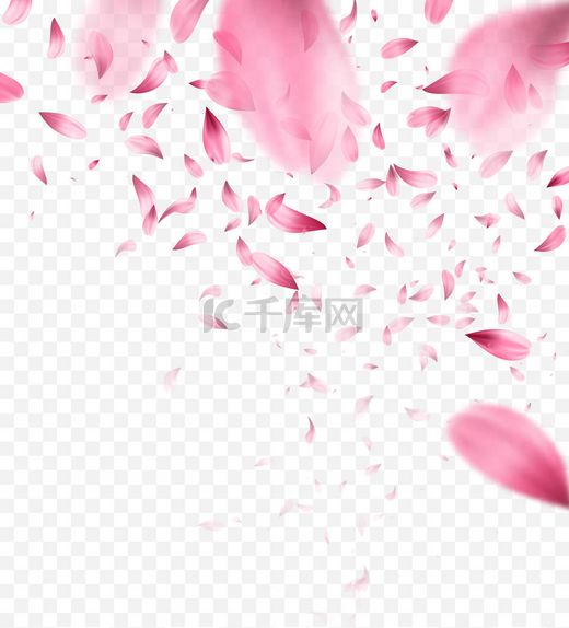 粉红色樱花飘落的花瓣背景。矢量插图图片
