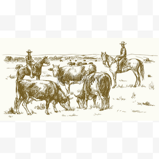 赶牛的两个牛仔。牛在牧场上放牧。矢量生病了图片