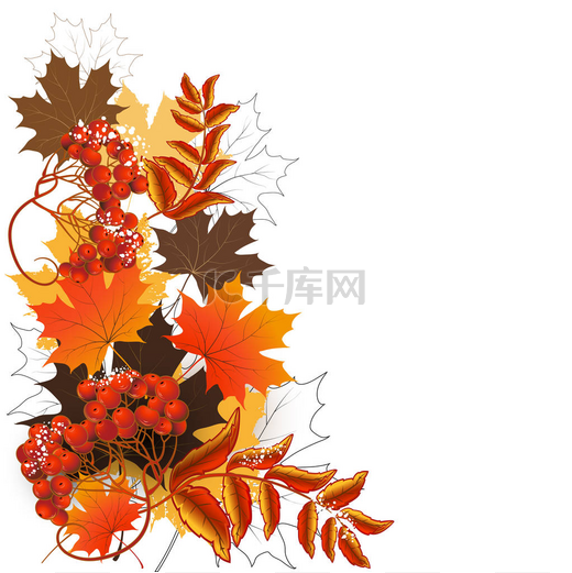 秋天的叶子组成图片