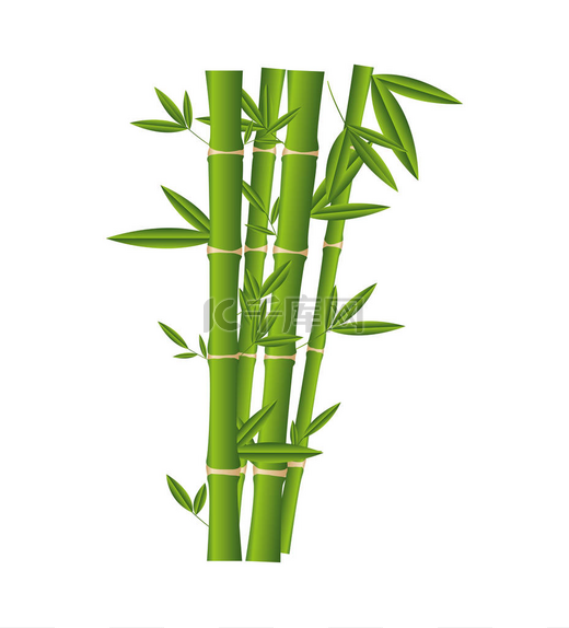竹子植物孤立的图标图片