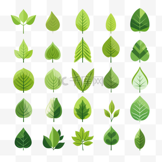 绿叶图标孤立背景上的树叶图标集合绿叶元素设计天然生态素食生物标签矢量插图eps 10图片