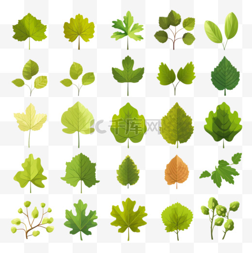 绿树，树叶，扁平的图标，橡树，杨树，枫树，栗子，三叶草植物，孤立的矢量插图图片