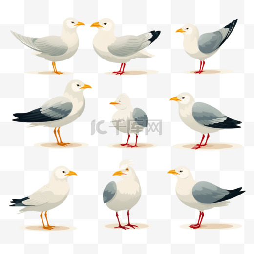 海鸥卡通人物平面矢量插图集。可爱的滑稽海鸥，白色羽毛和黄色脚的大西洋鸟类，适合海洋、海滩或港口景观。自然、动物、野生动物概念图片