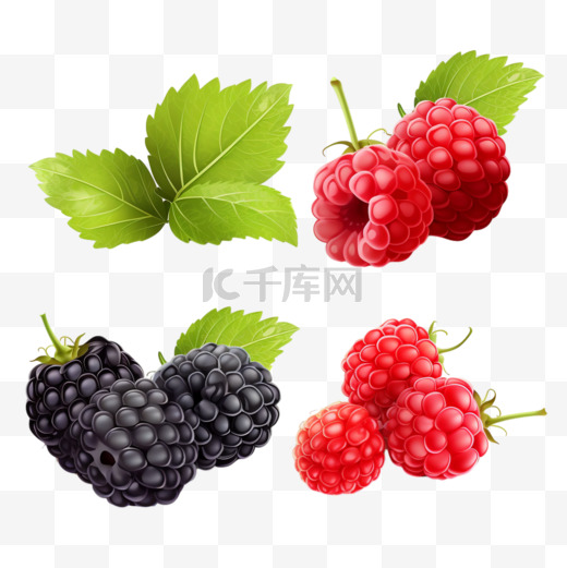 逼真的浆果透明集与树莓、草莓、黑莓和小红莓的独立图像，并配有树叶矢量插图图片