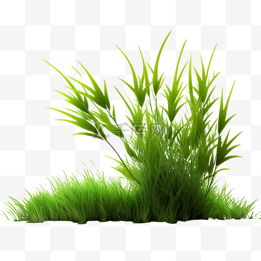 草地春天植物图片