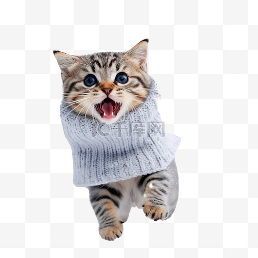 一只戴着针织围巾的猫在圣诞树附近的雪地里看到图片