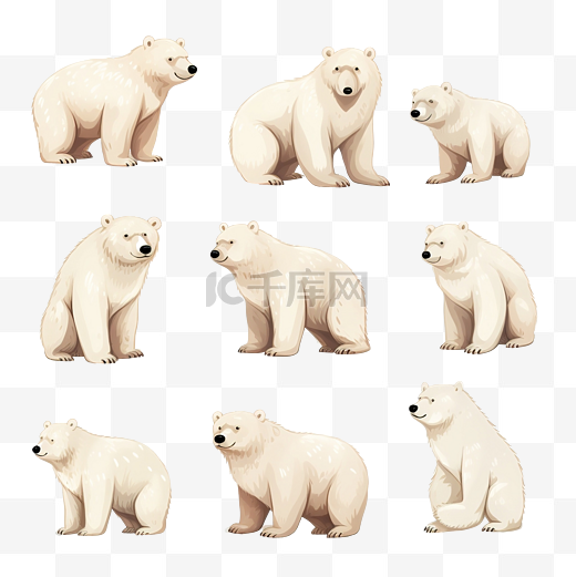 北极熊一套图片