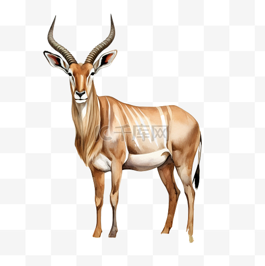 巨型大羚羊稀树草原动物水彩插图图片
