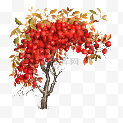 红罗文和枯萎的苹果树的秋天插图图片