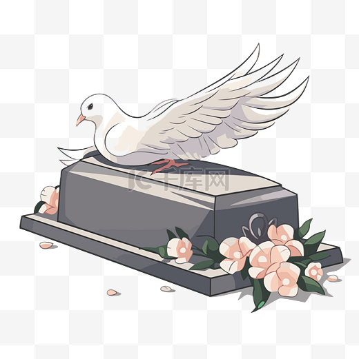 葬礼鸽子剪贴画白鸽在棺材顶部的矢量插画卡通图片