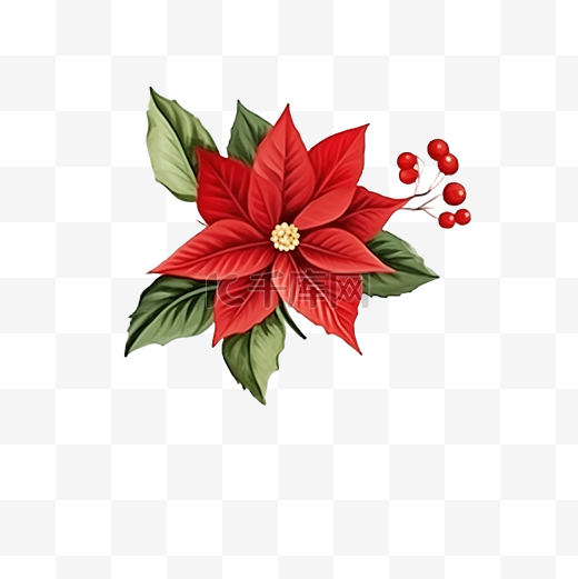 一品红和冷杉树枝和红色冬季浆果圣诞无缝图案图片