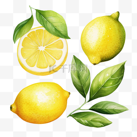 水彩柠檬剪贴画图片