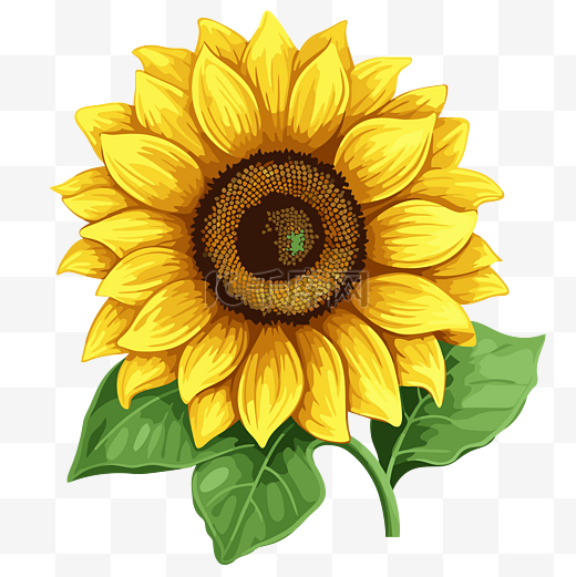 免费向日葵剪贴画向日葵与叶子和花卡通 向量图片