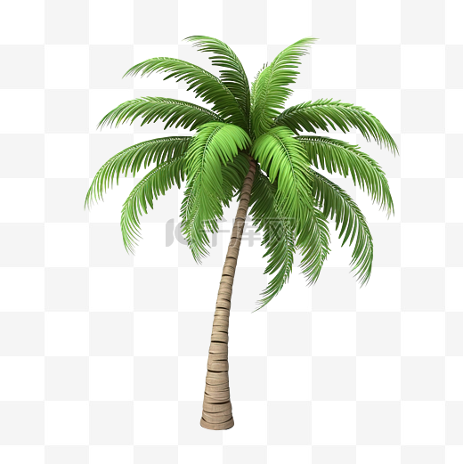棕榈椰子树 3d 模型图片
