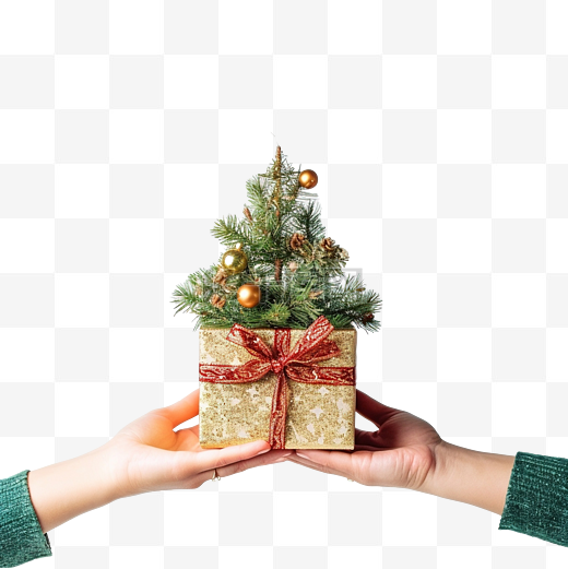 手拿着圣诞礼品盒和带圣诞装饰的松树图片