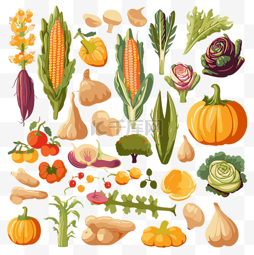 农作物剪贴画集蔬菜，包括西葫芦卡通 向量图片