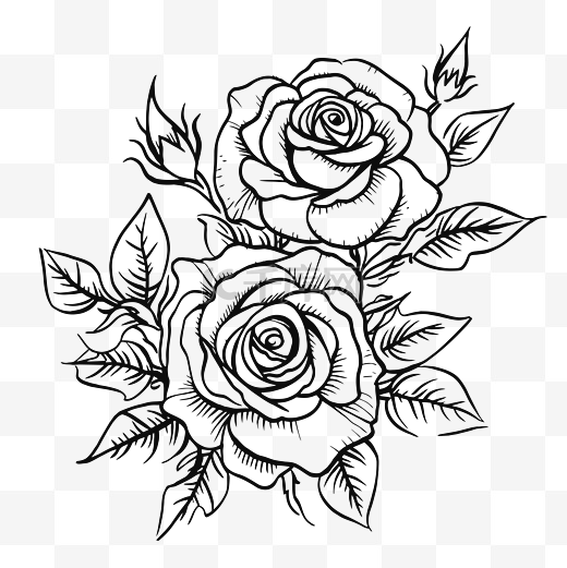 黑色和白色的花玫瑰轮廓素描画 向量图片