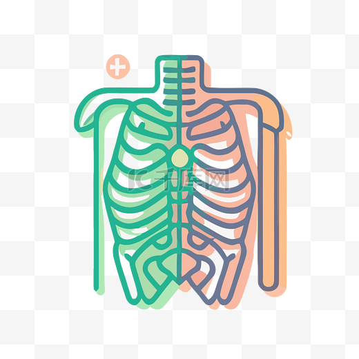 彩色线条中的骨骼骨架矢量平面轮廓图标插图图片