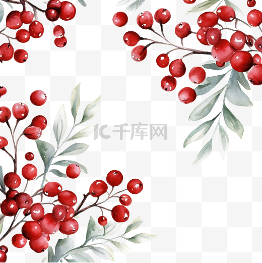 圣诞节和新年模板或壁纸水彩红色浆果和冬季树叶和植物图片