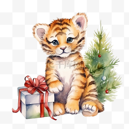 可爱快乐的小老虎坐在圣诞松树和礼品盒水彩手绘图片