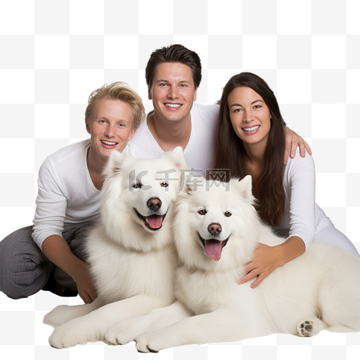 母亲和成年儿子与宠物纯种萨摩耶犬的家庭圣诞照片图片