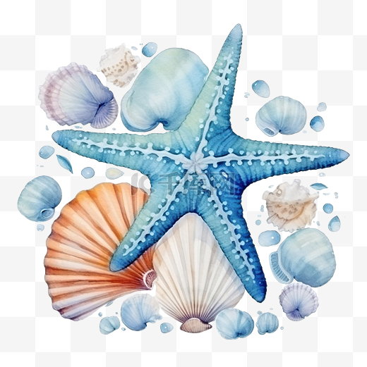 水彩套贝壳海马海星气泡图片